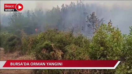 Descargar video: Bursa'da orman yangını: Helikopter ve uçak bölgeye hareket etti