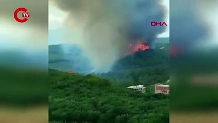 Bursa'da çıkan orman yangınına müdahale ediliyor