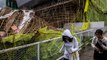 Le typhon Saola, moins violent que prévu, fait des dégâts matériels à Hongkong