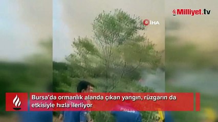 Bursa’da orman yangını! Rüzgarın etkisiyle hızla ilerliyor