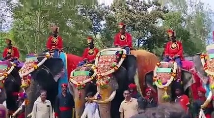 जंबो सवारी के हाथियों का पहला दल मैसूरु पहुंचा