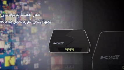 Actor 3: Rising Star in Hollywood 🎬