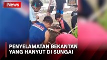 Penyelamatan Seekor Bekantan yang Hanyut di Katingan Kalteng