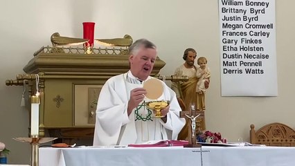 Catholic Mass Today I Daily Holy Mass I Monday August 28 2023 I English Holy Mass I 5.00 AM