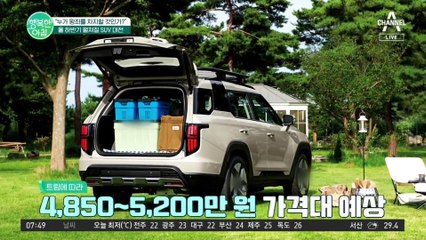[차차차] 올해 자동차 트렌드는 패밀리카! SUV가 대세! 자동차 회사들의 SUV대전