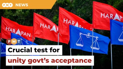 Sept 9 by-elections key to evaluating alliance with PH, says Umno leader (PLAIN)