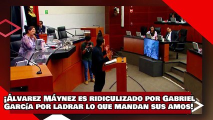 ¡VEAN! ¡El Gato Álvarez Máynez es ridiculizado por Gabriel García por ladrar lo que mandan sus amos!