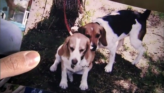 Catching Killers Season 1 Episode 5 - Controlling Killers