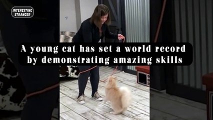 A young cat has set a world record by demonstrating amazing skills @InterestingStranger