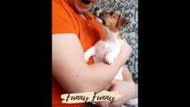 Best Cats and Dogs Funny Videos ! New Funny Cats Videos Try Not To Laugh 2023 Trending Funny  Cats  Video