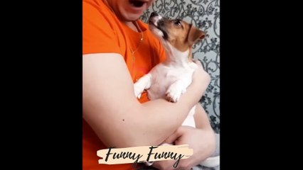 Best Cats and Dogs Funny Videos ! New Funny Cats Videos Try Not To Laugh 2023 Trending Funny  Cats  Video