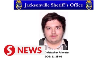 Florida gunman's manifesto was 'diary of a madman'