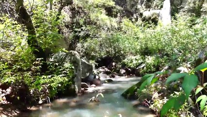 La fuerza del Río Santiago, Nayarit | Conexión Milenio