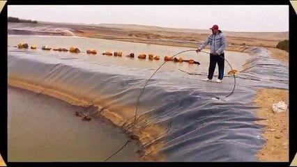 Il sauve un loup coincé dans un lac depuis des heures... beau geste