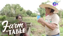 Vegetable Farming Lessons at Yumi’s Farm | Farm To Table