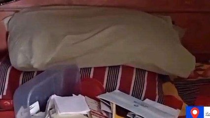 తిరుపతి జిల్లా: రెచ్చిపోయిన దొంగలు.. ఒకే రోజు..