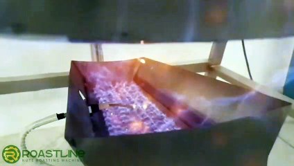 Nuts Drying Machine RL