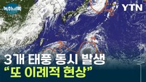 '트리플 태풍' 남해에 이례적 현상...'후지와라 효과' 긴장 [Y녹취록] / YTN