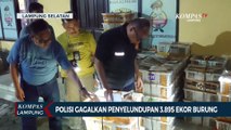 Polisi Gagalkan Upaya Penyelundupan 3.895 Ekor Burung