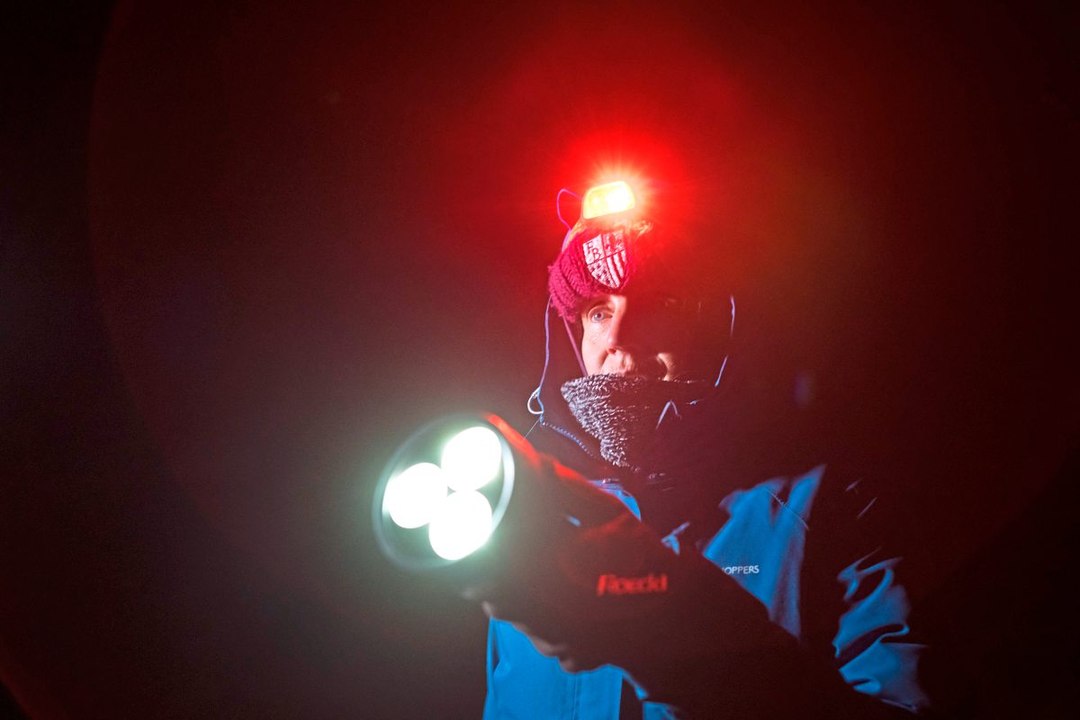 Wolfs-Nachtwache in den Schweizer Alpen