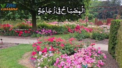 Surah Nur Ayat 35  with urdu translation | surah an nur 35 verse by 786 cuisine