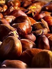 Nuts Roasting Oven RL10