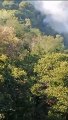 Incendi sui colli Sarrizzo: alberi caduti