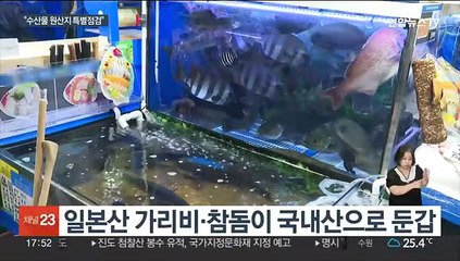 "100일간 수산물 원산지 특별점검"…불안 줄어들까?