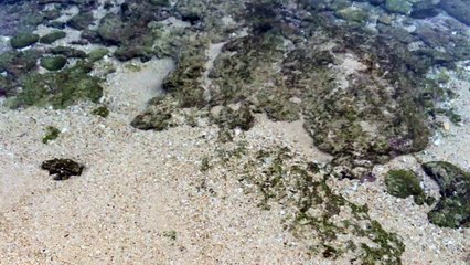 The Most Beautiful Beach That Must Be Visited by Foreign Tourists