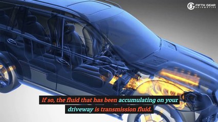 Puddle Of Fluid Under Your Porsche Here's What It Could Mean