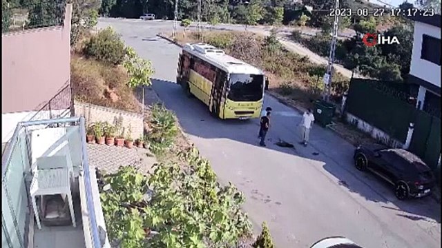 İETT şoförü köpeği ezdi; arkasına bakmadan kaçtı