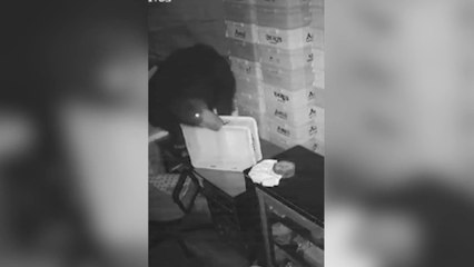 Large bear burgles milk from shops India