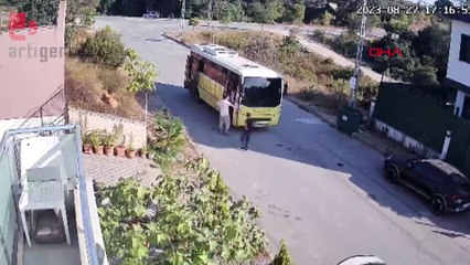 Tuzla'da İETT otobüsü yolda yatan köpeği ezdi