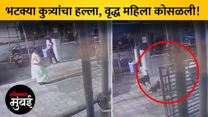 मुंबईत भटक्या कुत्र्यांचा महिलेवर हल्ला, घटना CCTV मध्ये कैद