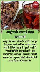 अर्जुन की छाल है बेहद करामाती, रोजाना सेवन करने से मिलेंगे 5 चमत्कारी लाभ