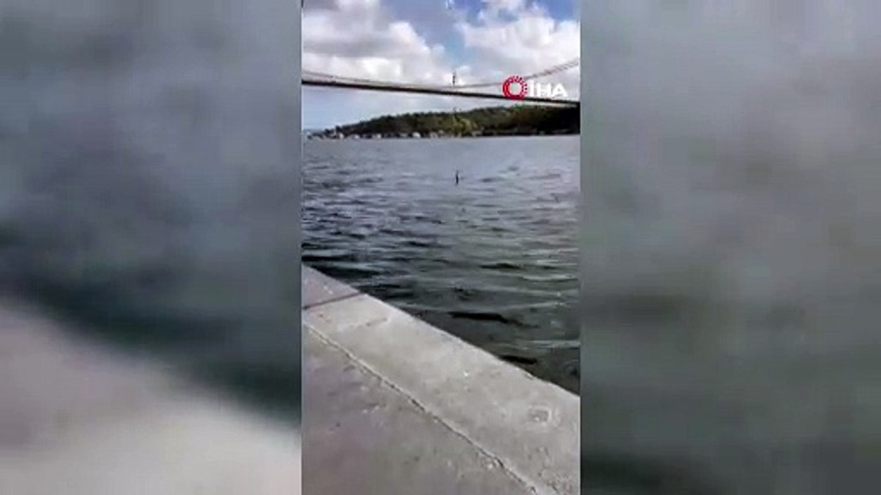 FENERBAHÇE'NİN YENİ TRANSFERİ İSTANBUL BOĞAZI'NDA BALIK TUTTU