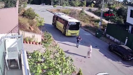 Önce korna çaldı, kalkmasını beklemeden sürdü! Otobüs yolda yatan köpeği böyle ezdi