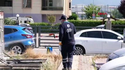 PROF. DR. AYDIN SITMA 60 YILLIK BİR PANDEMİ, COVİD'DE DAHA ŞANSLIYDIK