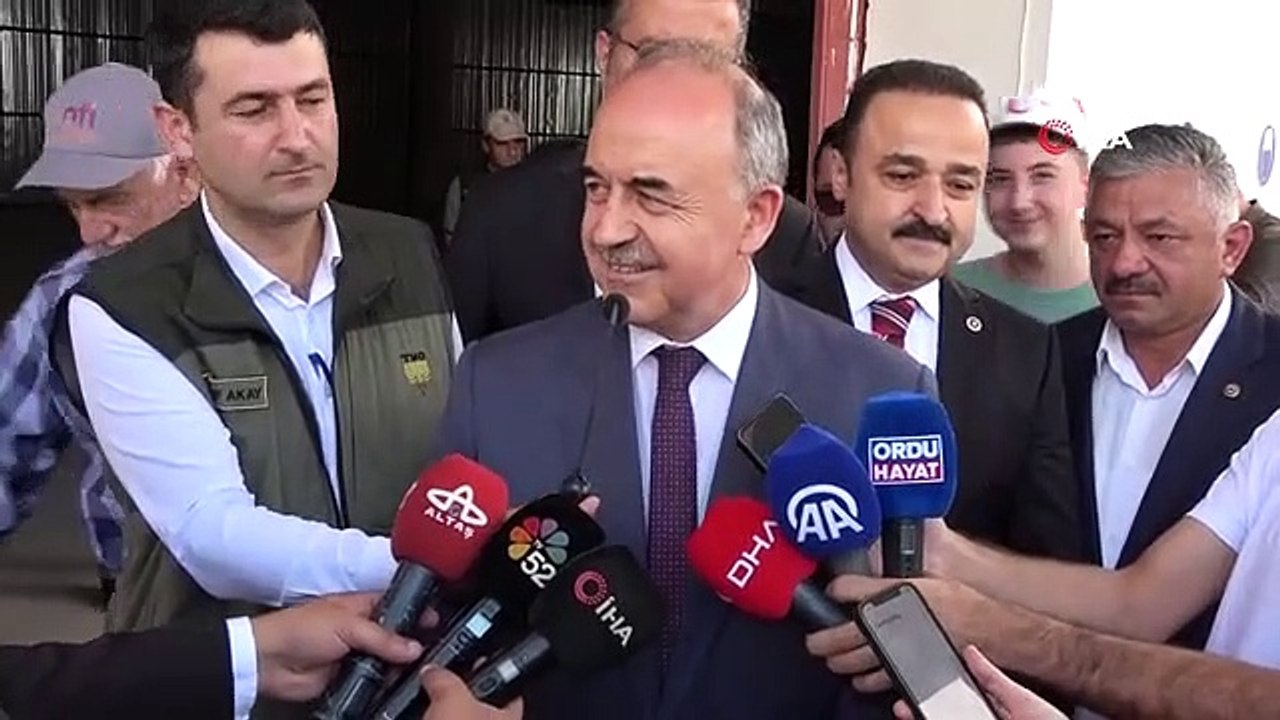 TMO a commencé à acheter des noisettes à Ordu： La première noisette a été vendue pour 90 lires