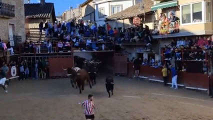 Último encierro de las fiestas de Aldeadávila 2023