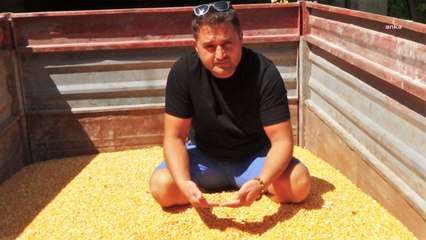 Mısır üreticisi: Tarlayı ekecek parayı biz bulamıyoruz