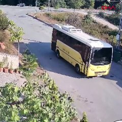 İETT otobüsü köpeği ezdi, şoför kaçtı