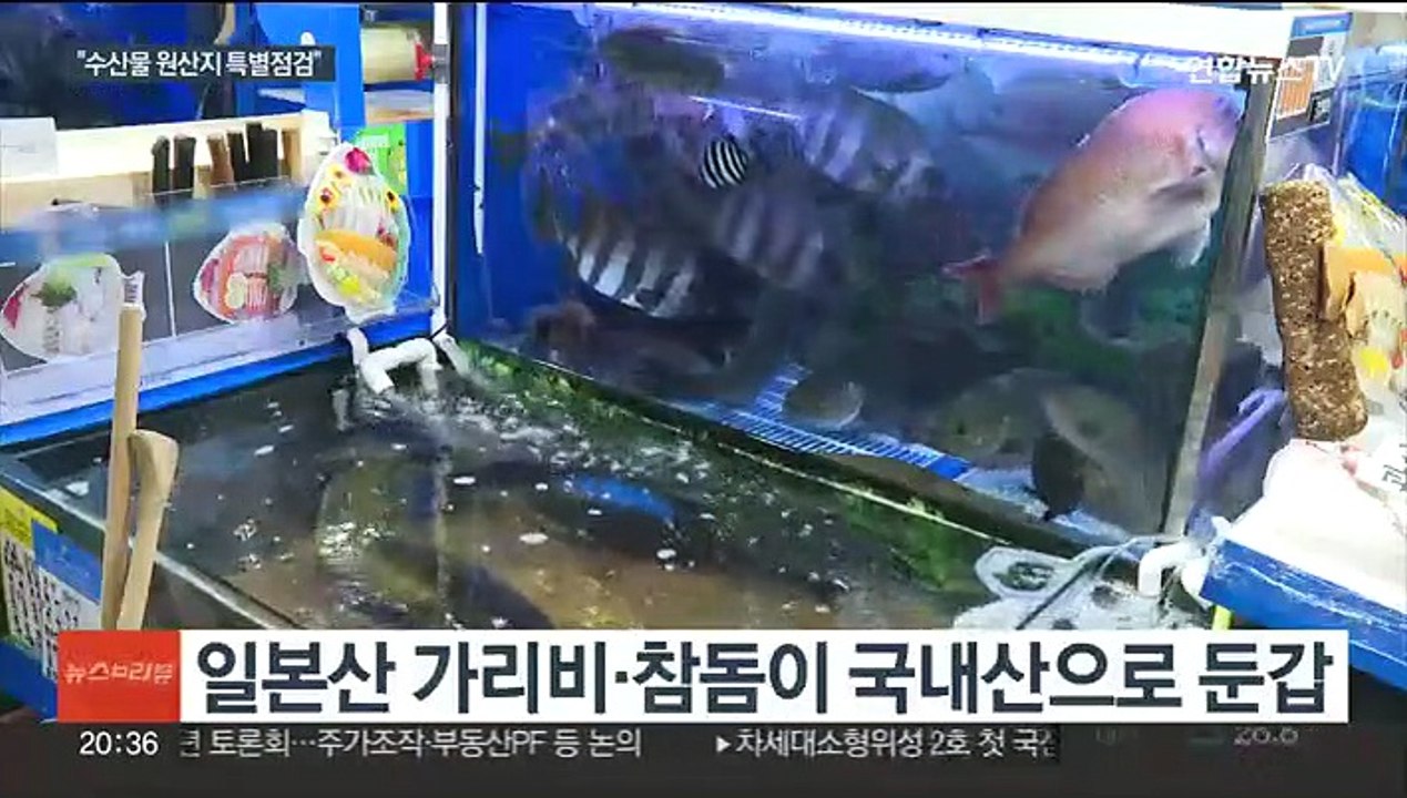 "100일간 수산물 원산지 특별점검"…불안 줄어들까?