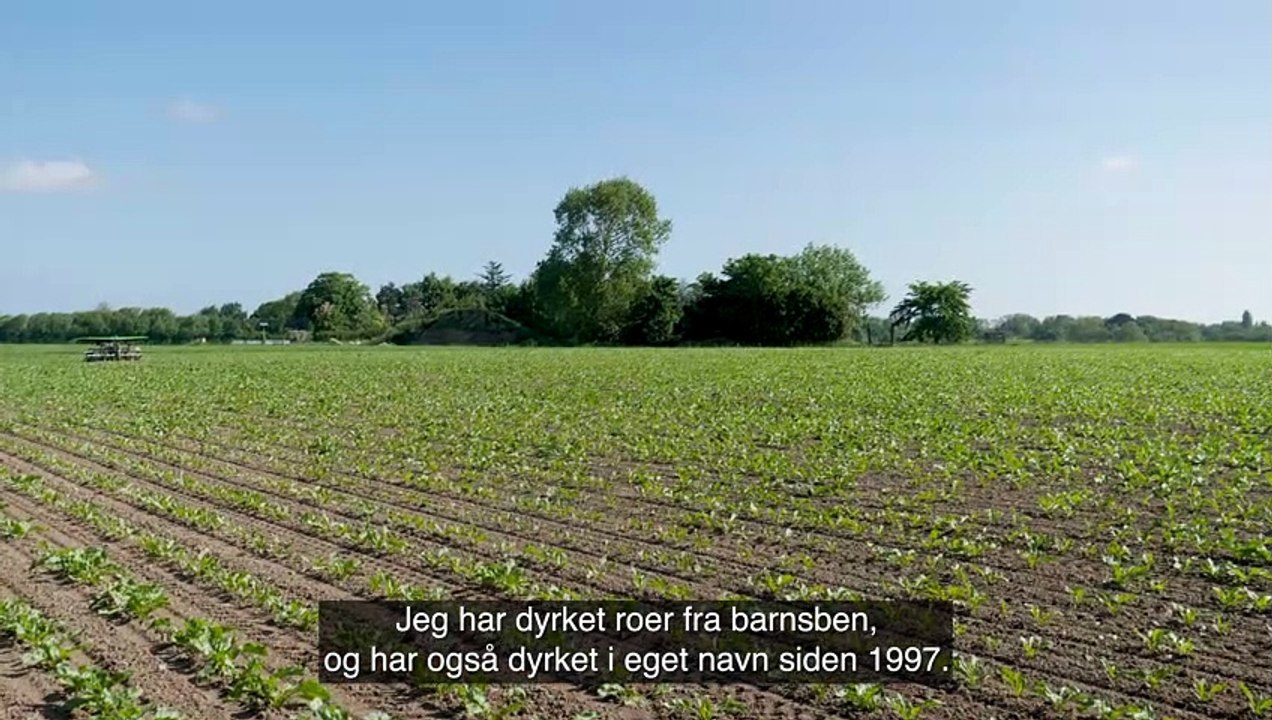 Øko sukker med Benjamin fra Møn Is