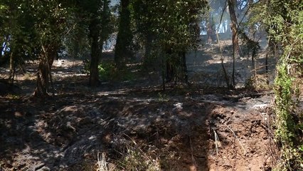 Dopo gli incendi, il rischio idrogeologico