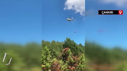 Çankırı'nın Ilgaz ilçesinde orman yangını çıktı
