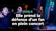 Adele s'arrête en plein concert pour défendre un fan face aux agents de sécurité