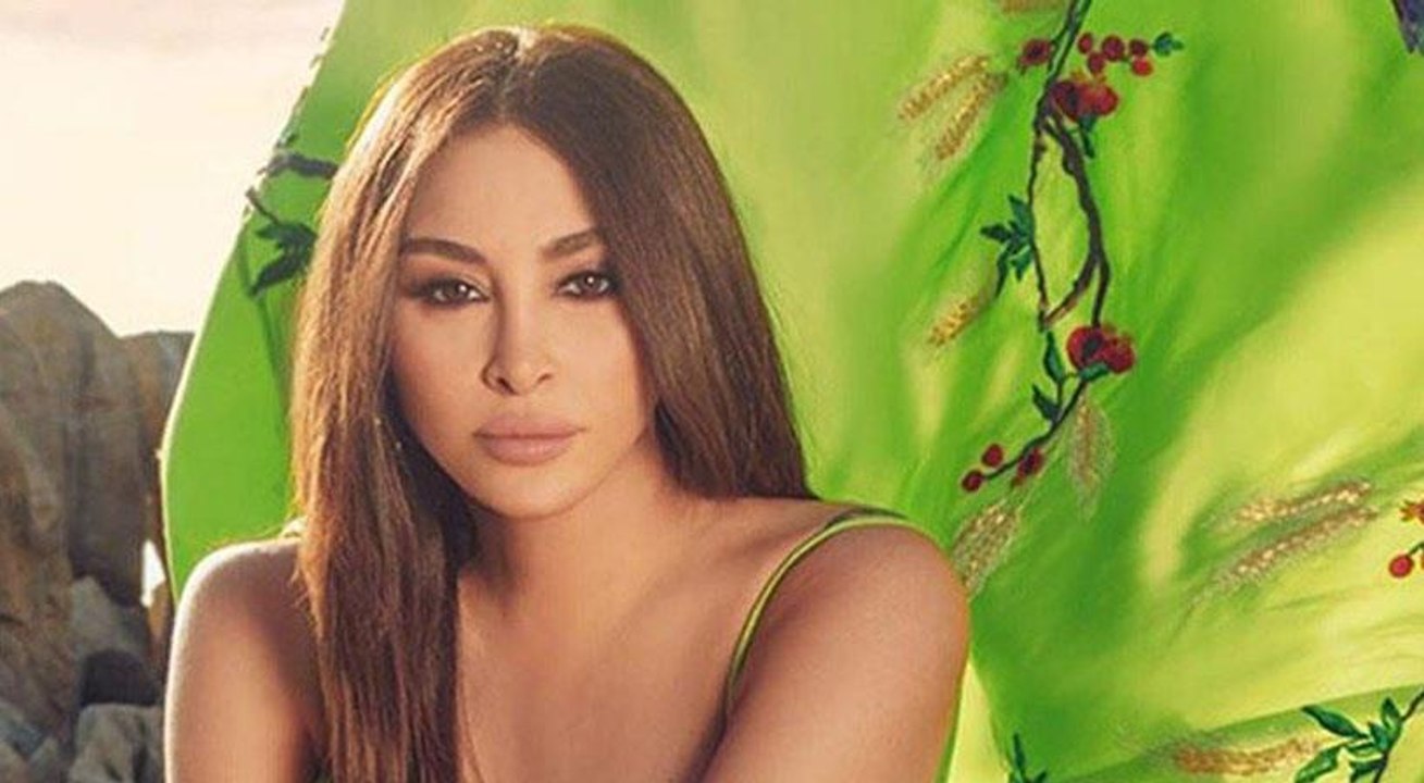 شركة "وتري" ترد على إليسا بعد حذف أغنيتها "العق...