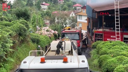 Rize'de çay fabrikasında yangın