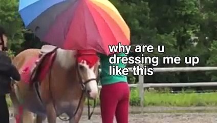 These People Are Just 'HORSING AROUND'!Funny Animal Videos   AFV 2023